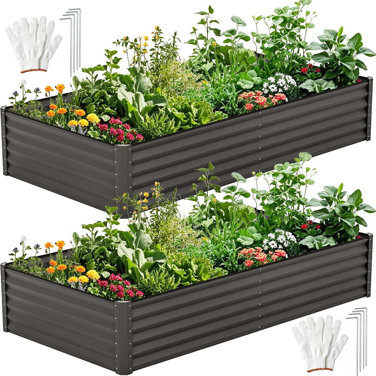 DWVO raised garden bed 8x4-1-5ft front view, spacious for vegetables and herbs.