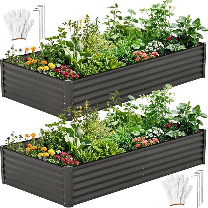DWVO raised garden bed 8x4-1-5ft front view, spacious for vegetables and herbs.