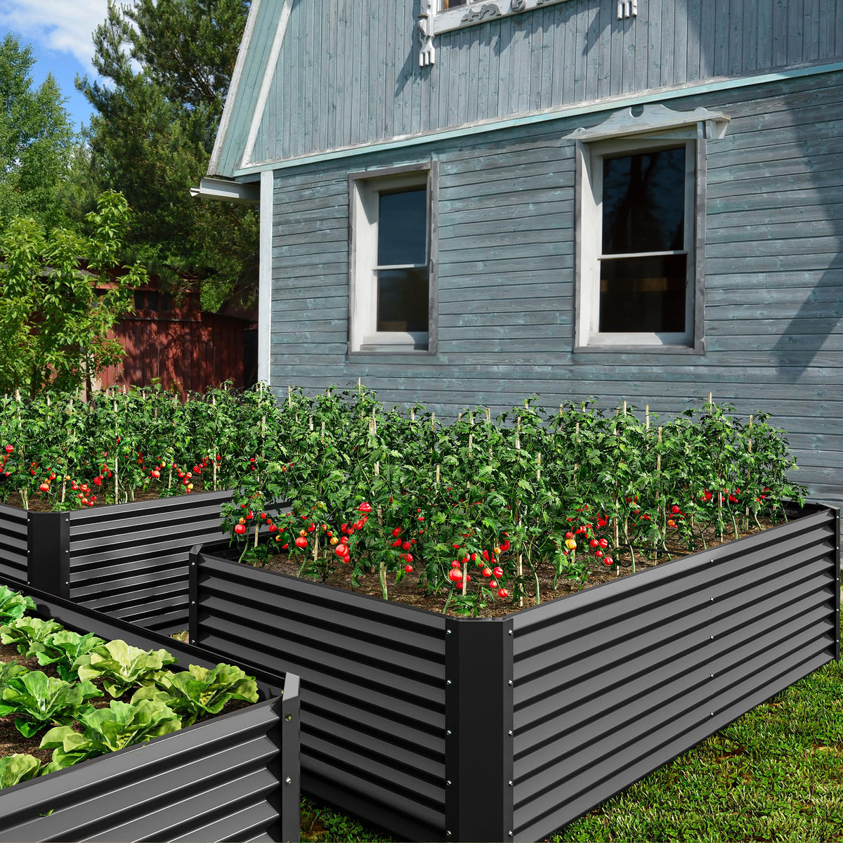 DWVO raised garden bed 8x4x2ft side view with ample planting space