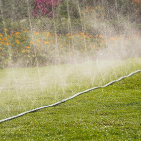 DXront weather-resistant 25ft hose for durable outdoor use