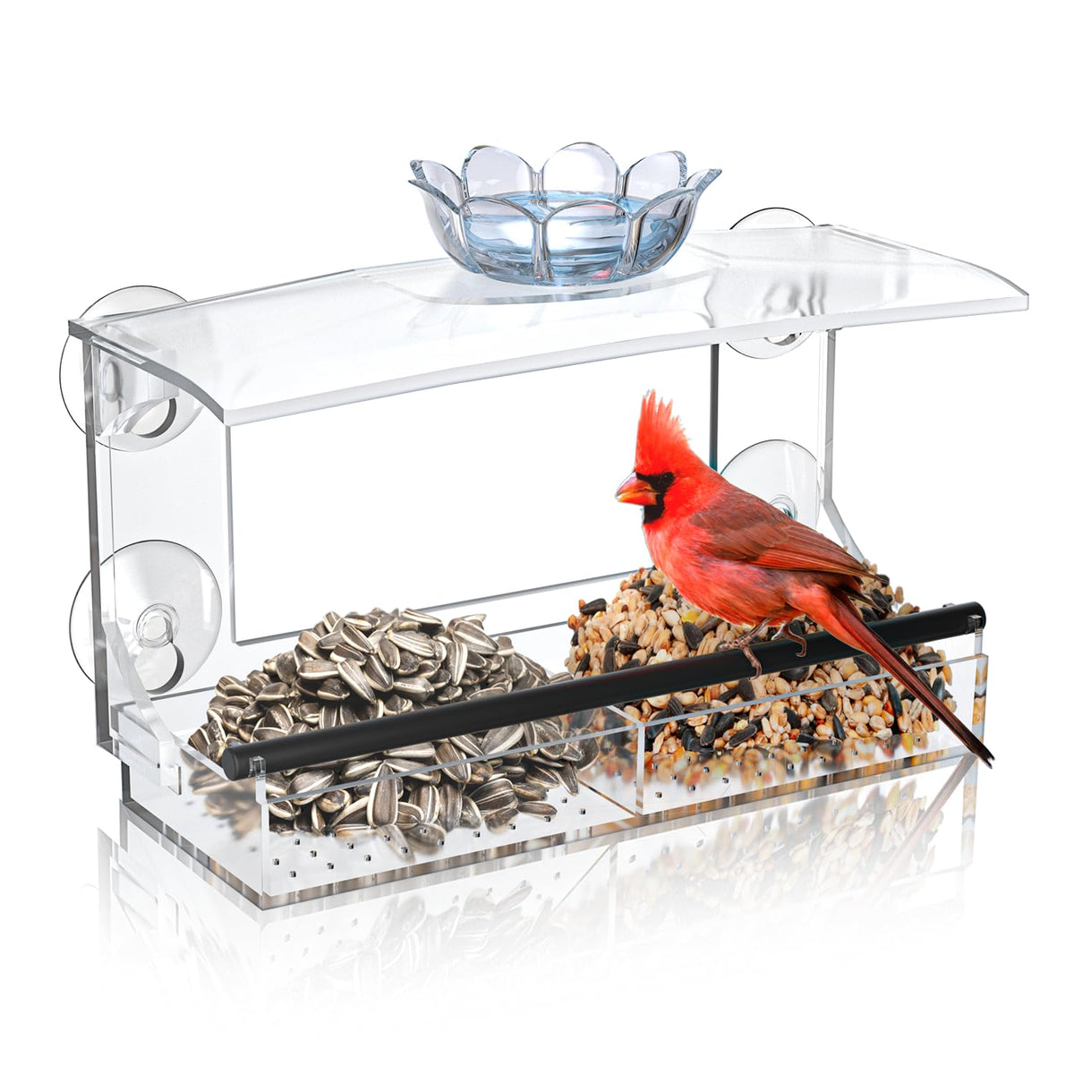 DY-SKTY clear acrylic window bird feeder with strong suction cups for easy placement