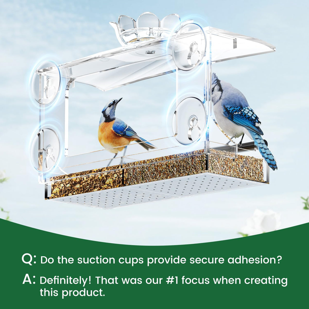 DY-SKTY spacious seed tray supports diverse bird species