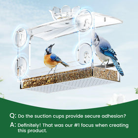 DY-SKTY spacious seed tray supports diverse bird species
