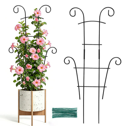 DYBEEDUAL 24-inch plant trellis outdoors supports multiple vines for a tidy garden.