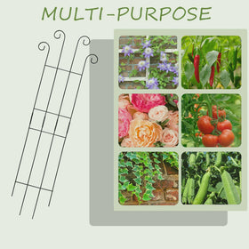 DYBEEDUAL sturdy iron lattice offers reliable support for climbing vines.