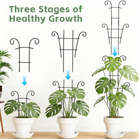 DYBEEDUAL metal garden trellis offers durable climbing support for roses and tomatoes.