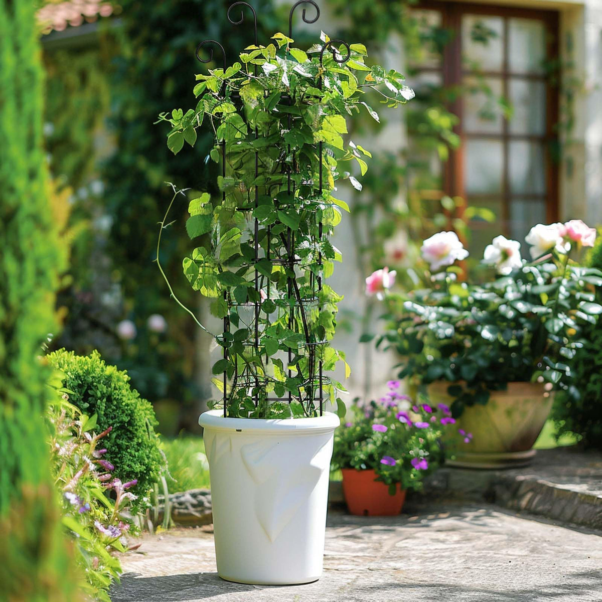 DYBEEDUAL Monstera and jasmine-friendly trellis keeps stems upright for healthier growth.