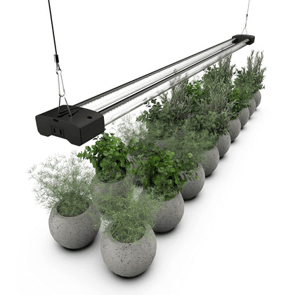 DYMOND BoostGro front view promotes indoor plant growth with full-spectrum light.