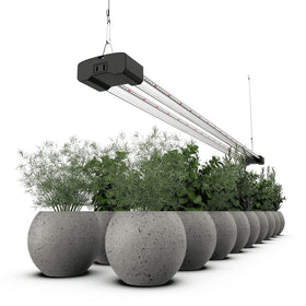 DYMOND BoostGro linkable design enabling scalable coverage for larger setups.