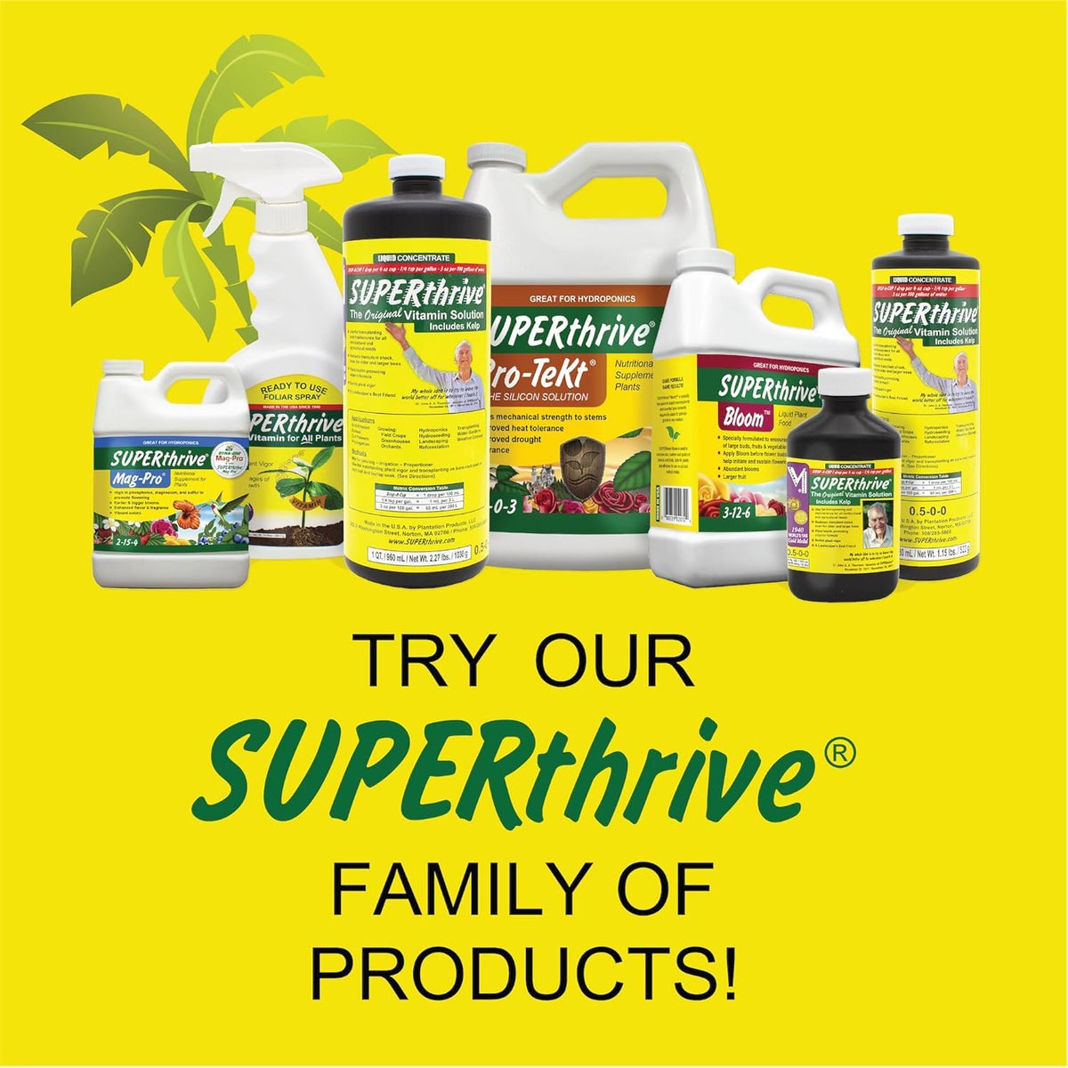 Dyna-Gro Pro-Tekt deposits silicon into cell walls, forming a protective barrier.