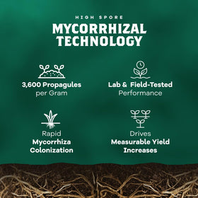 DYNOMYCO Spark WP granules mixed into pots support healthy indoor plants