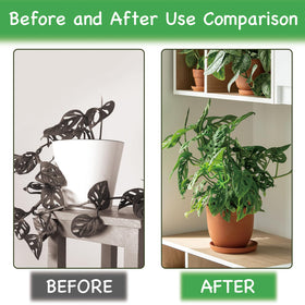 DYULJS frog-pot-hugger clip decorates pots while guiding growth.