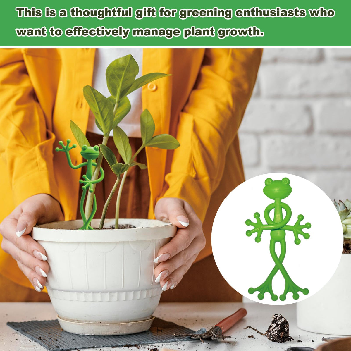 DYULJS greenery-frog-plant-hugger supports tall vines with cute charm.
