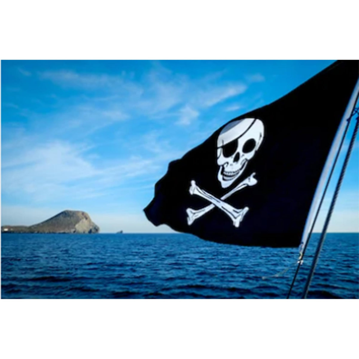 Dyung Tec flags with brass grommets and strong construction