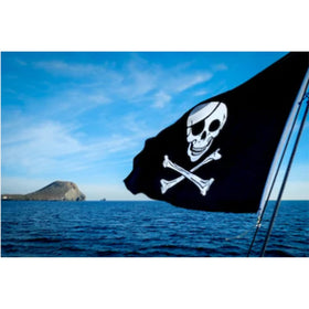 Dyung Tec flags with brass grommets and strong construction