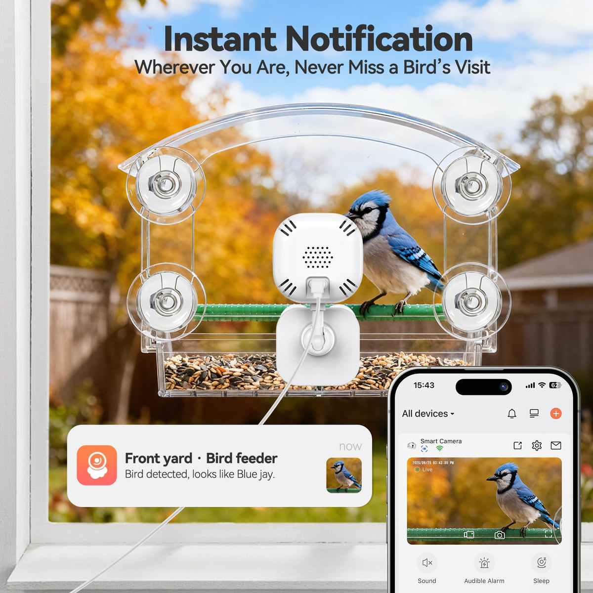 Dzees Window Bird Camera AI recognition identifies birds as they arrive.