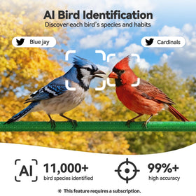 Dzees Window Bird Camera cloud storage option for extended video history.