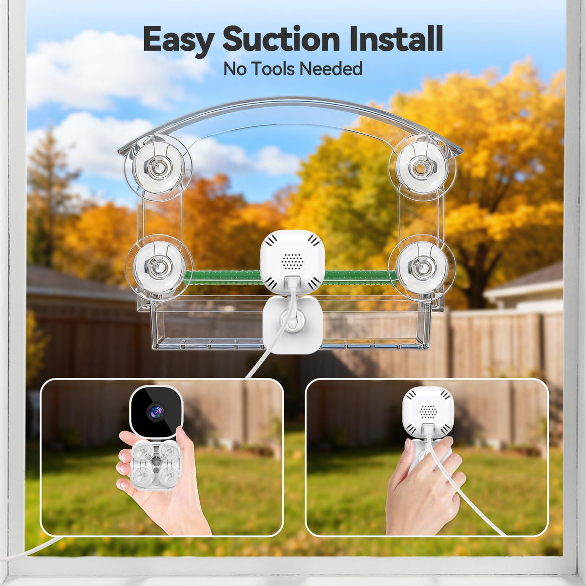 Dzees Window Bird Camera live streaming keeps you connected to backyard visitors.