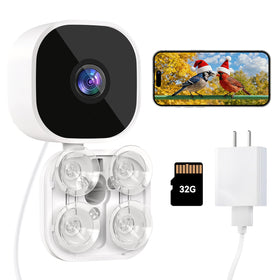 Dzees Window Bird Camera with suction mount delivers stable daytime viewing from indoors.