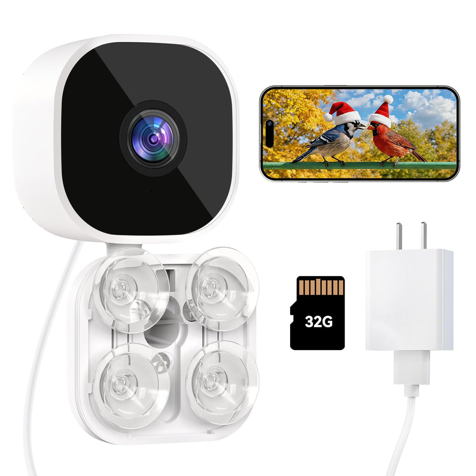 Dzees Window Bird Camera with suction mount delivers stable daytime viewing from indoors.