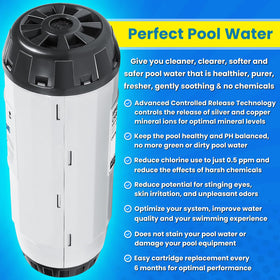Easy installation scene with quick cartridge swap by pool owner.