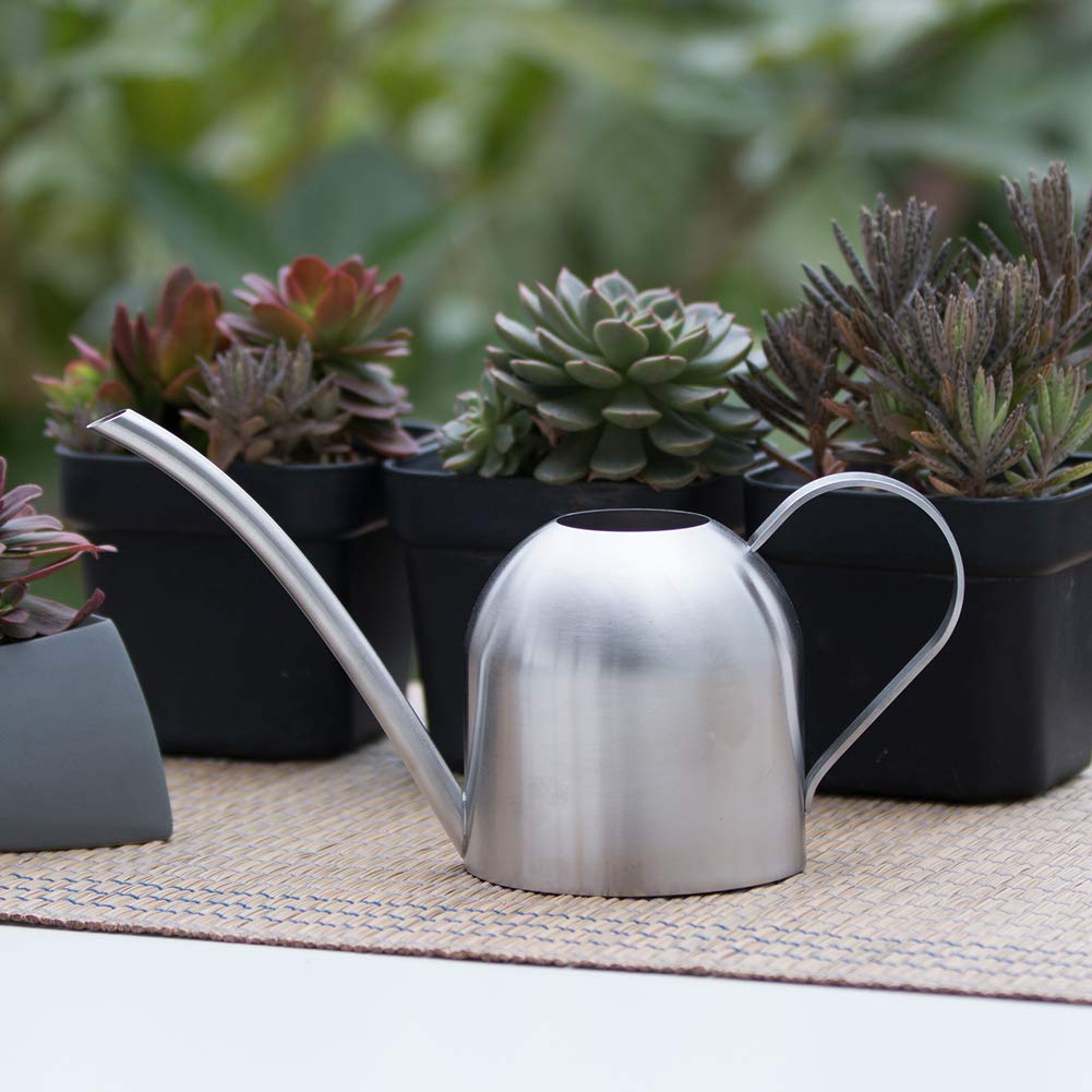 Long spout guides water precisely to soil for indoor plants.
