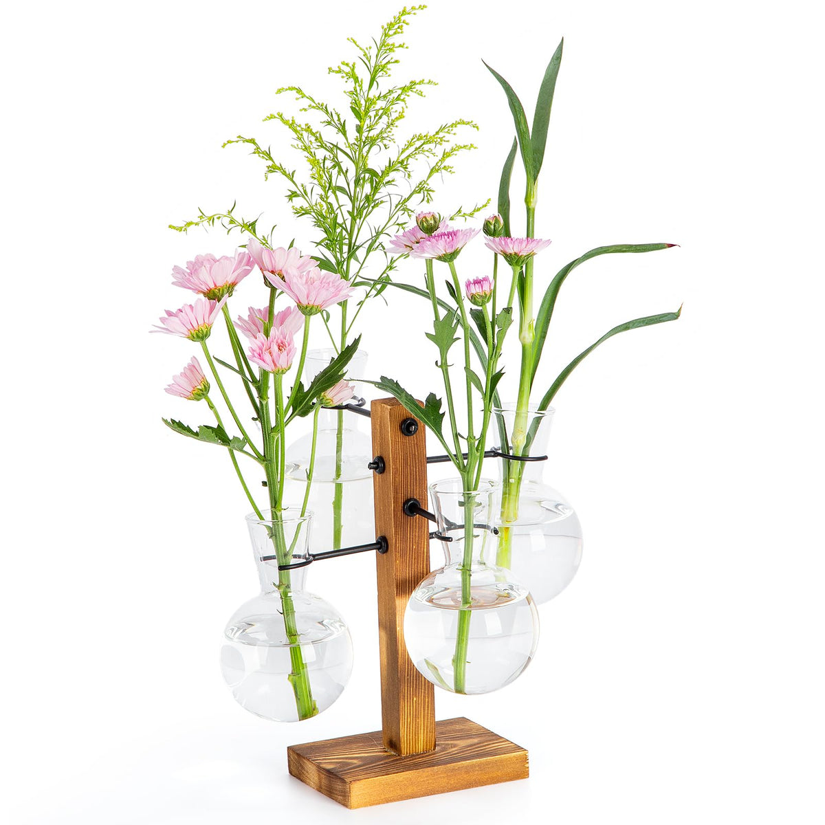 E-ROOM TREND propagation station on wood stand enhances desk plant display