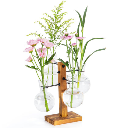 E-ROOM TREND propagation station on wood stand enhances desk plant display