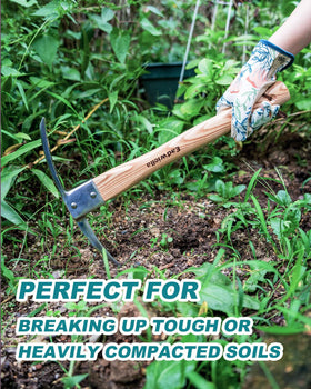 Eadwiella 2-in-1 head with hoe and axe for versatile garden work