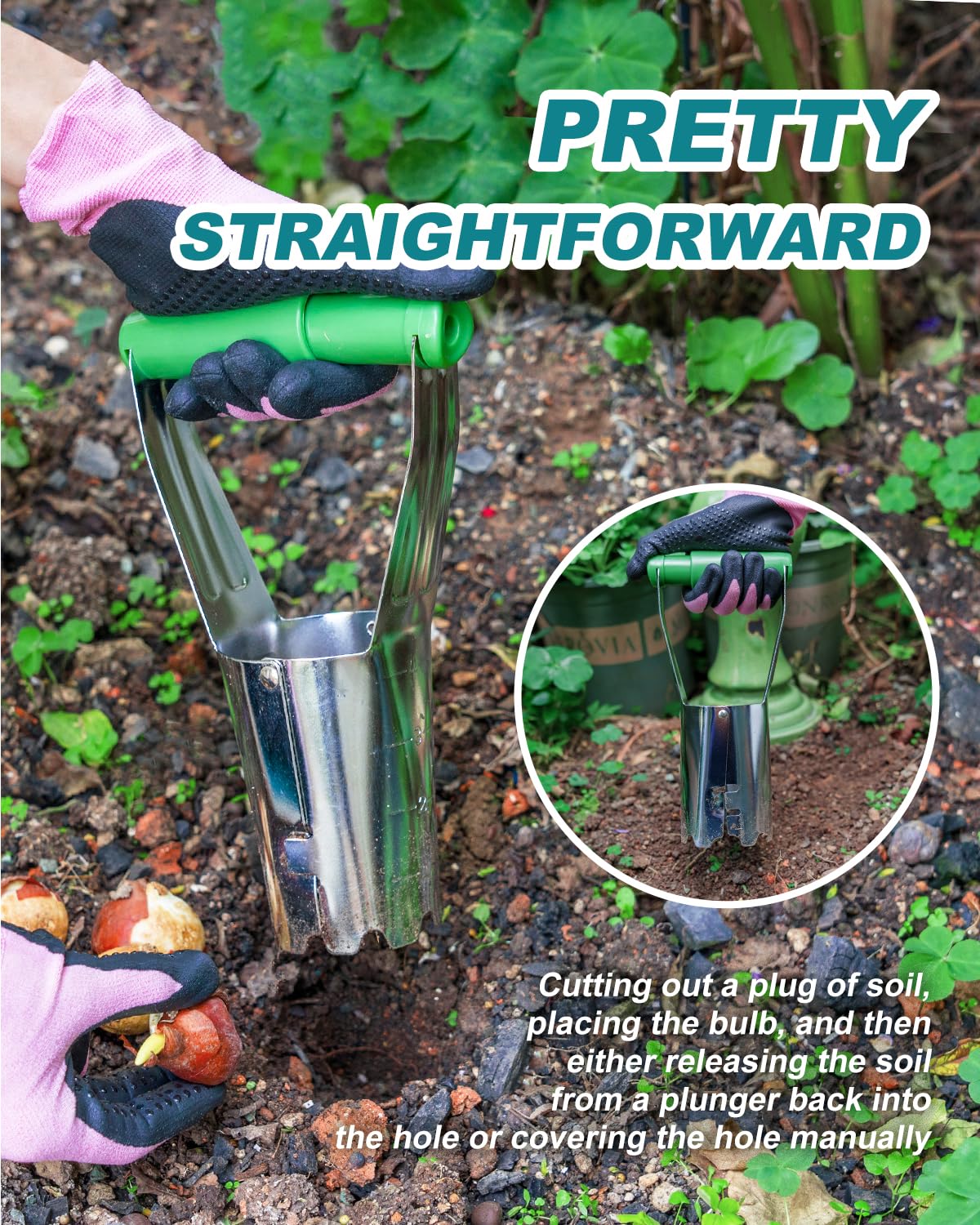 Depth indicators up to four inches aid accurate tulip placement with Eadwiella tool