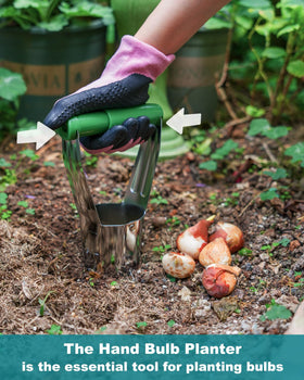 Eadwiella bulb planter tool serrated cone offers clean soil cores in dense ground