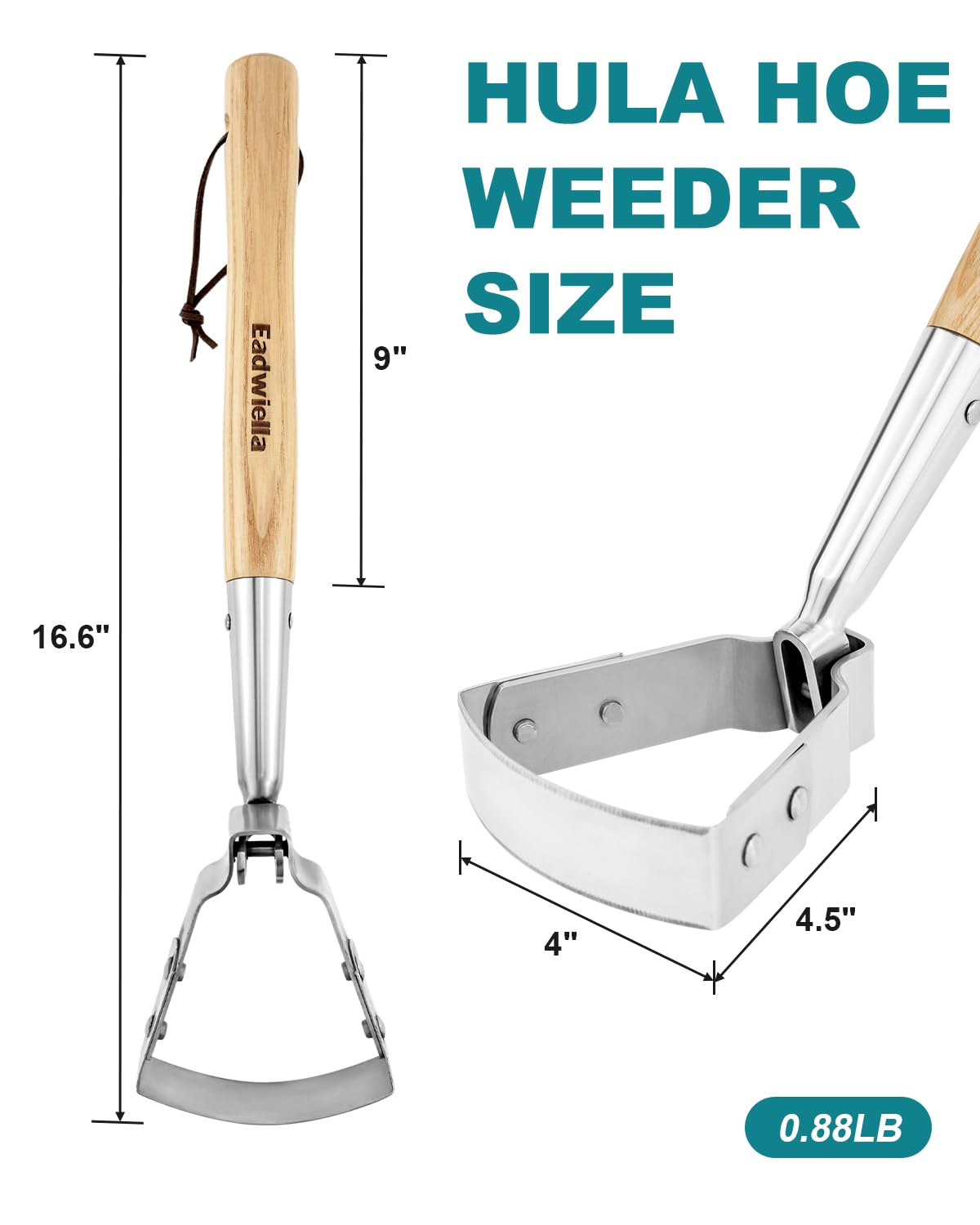 Eadwiella oscillating bracket connection enhances blade control and durability