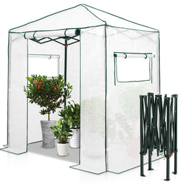 Eagle Peak 6x4 walk-in greenhouse front view with zippered door for easy access.