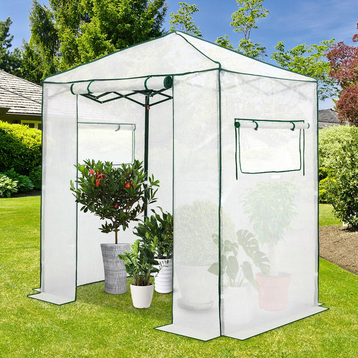 Eagle Peak 6x4 walk-in greenhouse PE cover provides UV protection for plants.