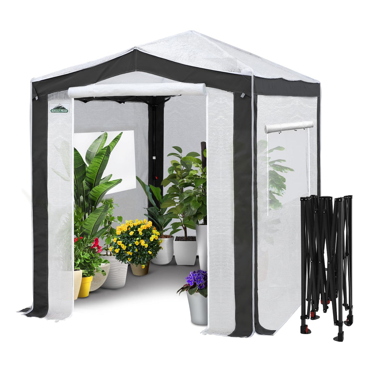 Eagle Peak 8x6 walk-in greenhouse with center lock for quick setup.