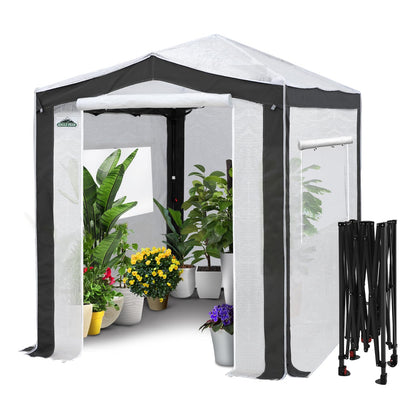 Eagle Peak 8x6 walk-in greenhouse with center lock for quick setup.