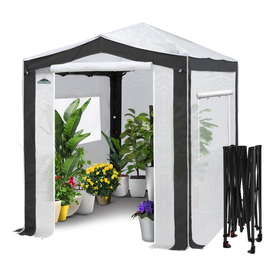 Eagle Peak 8x6 walk-in greenhouse with center lock for quick setup.