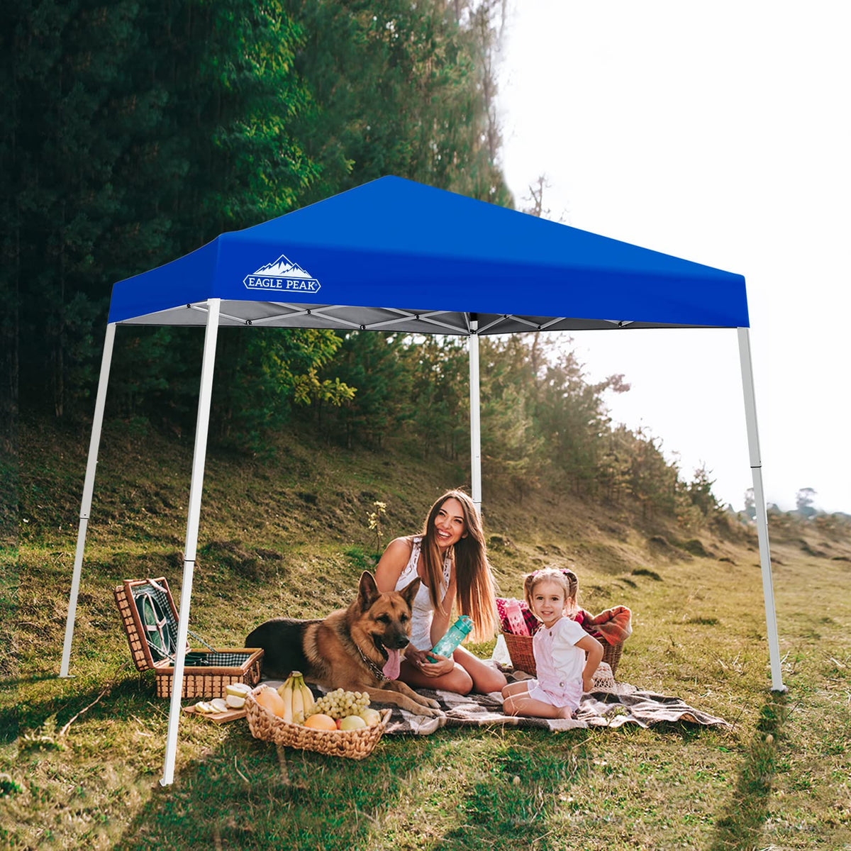 Eagle Peak 8x8 blue top cover provides durable shade for picnics