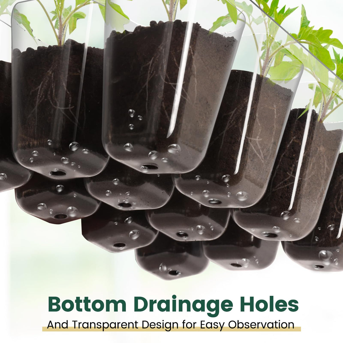 EamPrsk adjustable-humidity-dome helps manage airflow and humidity for steady germination.