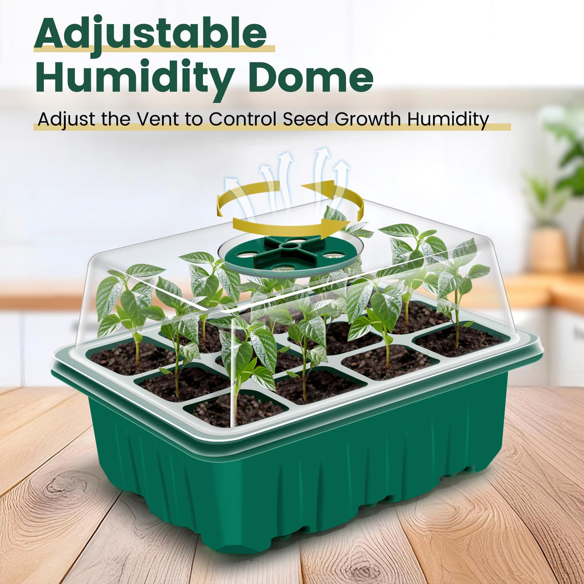 EamPrsk thick-durable-tray protects seedlings with long-lasting support.