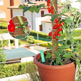 EAONE 100 reusable ties for securing plants without damage