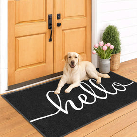 0.4-inch heavy-duty EARTHALL Hello Mat fits under most doors without snagging.