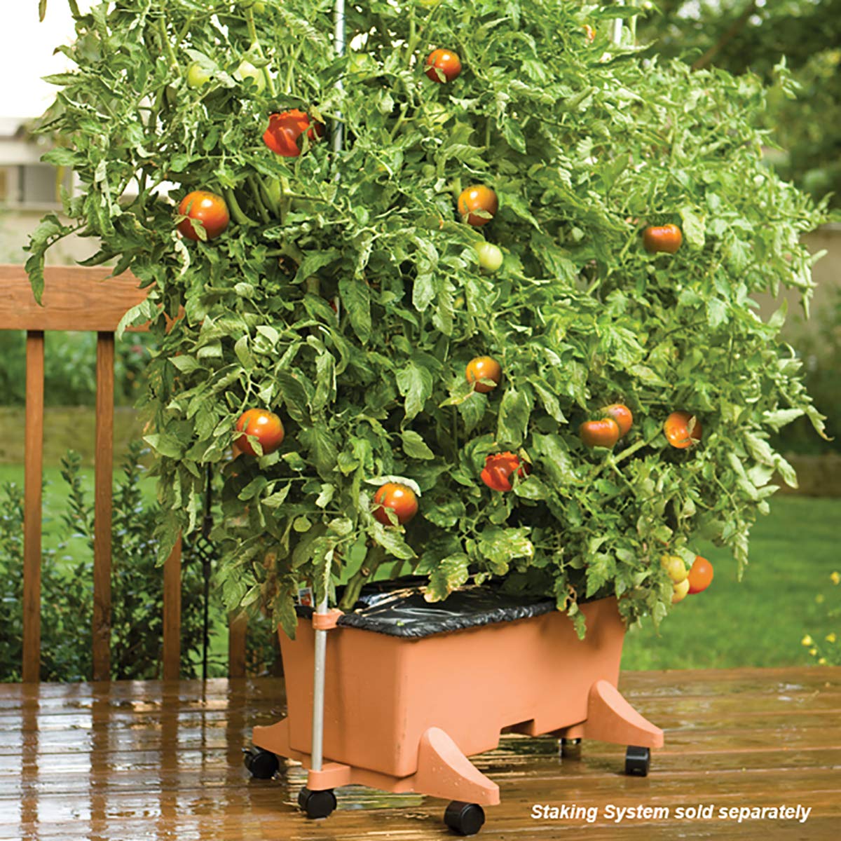 EarthBox 80105 aeration screen promotes even moisture for healthier roots.