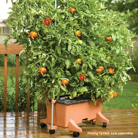 EarthBox 80105 aeration screen promotes even moisture for healthier roots.