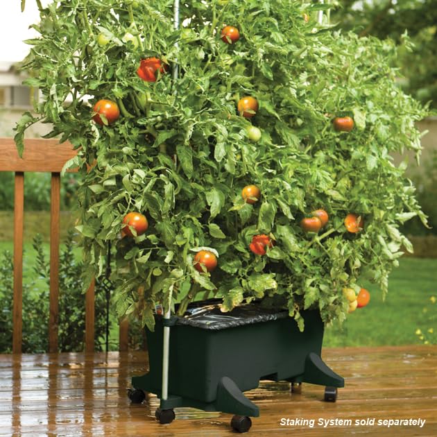 EarthBox 80151 four casters enable easy repositioning on patios or balconies.