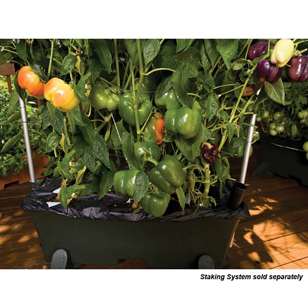 EarthBox 80151 all-in-one kit delivers ready-to-use setup for beginner or seasoned gardeners.