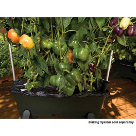 EarthBox 80151 all-in-one kit delivers ready-to-use setup for beginner or seasoned gardeners.