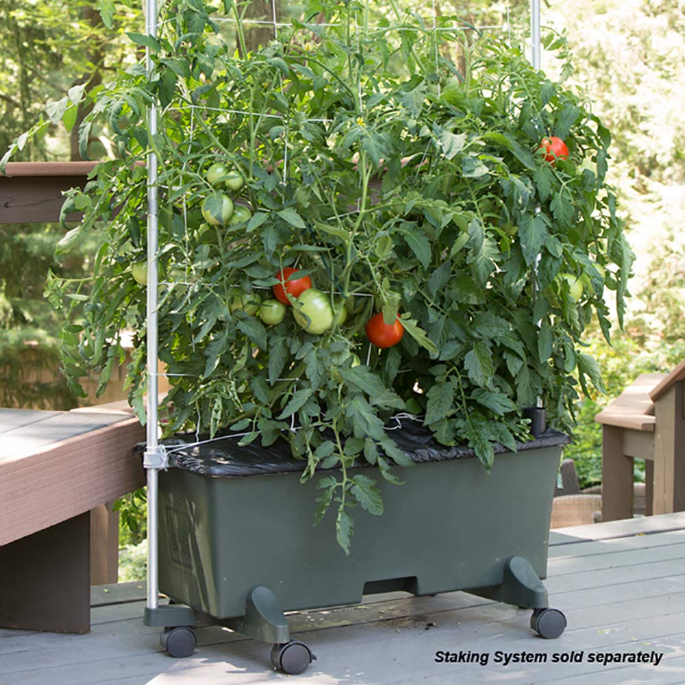 EarthBox 80151 1 lb organic dolomite balances pH and promotes healthy root structure.