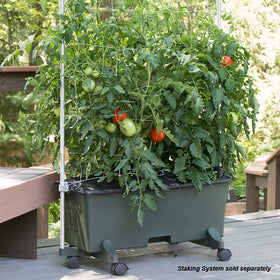 EarthBox 80151 1 lb organic dolomite balances pH and promotes healthy root structure.