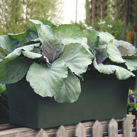 EarthBox 80151 1 lb organic fertilizer supports sustainable soil nutrition.